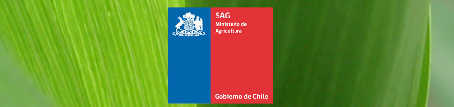 Resultado de imagen para sag chile